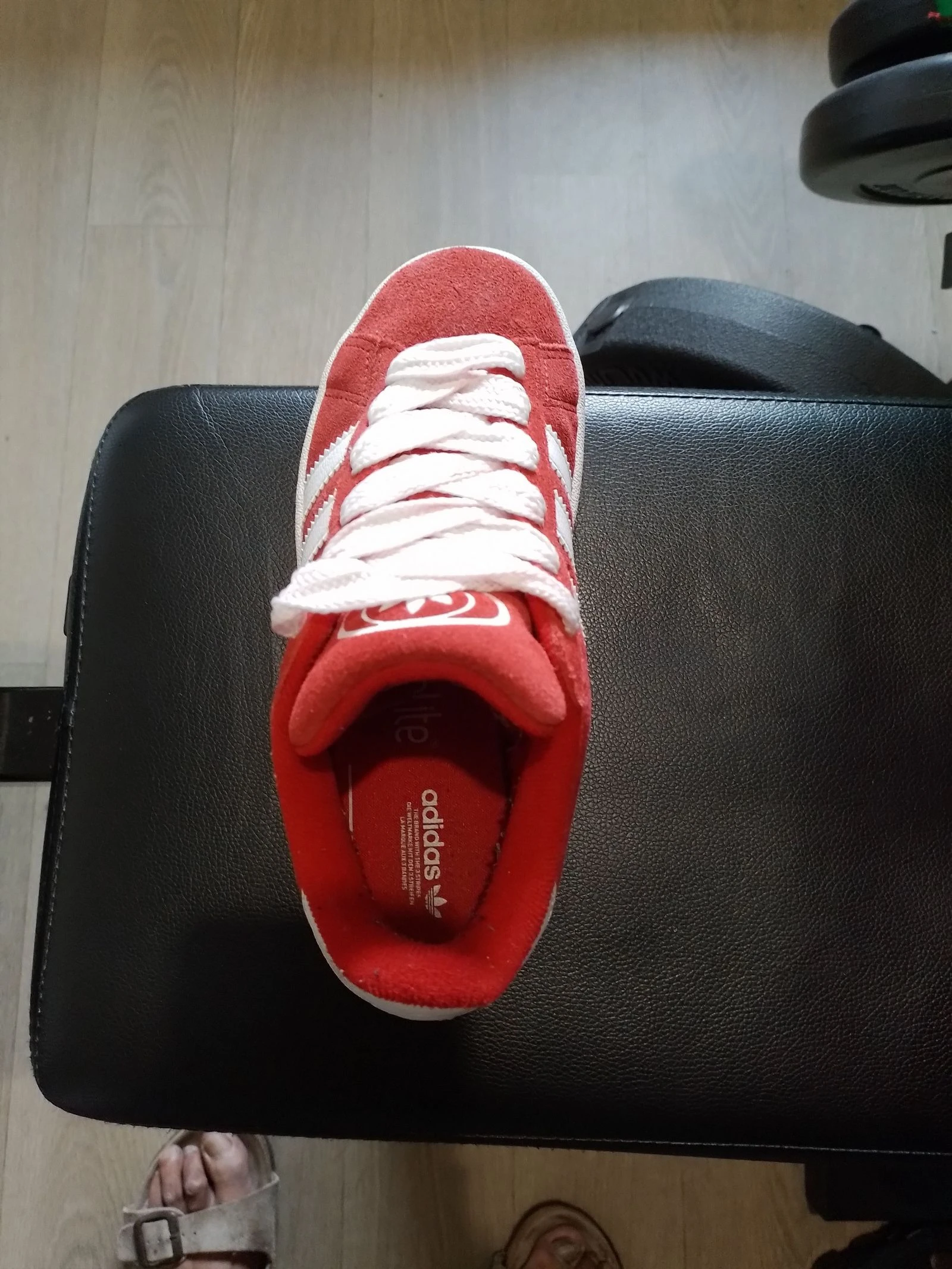 Adidas campus – photo 5